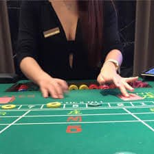 bet estrela